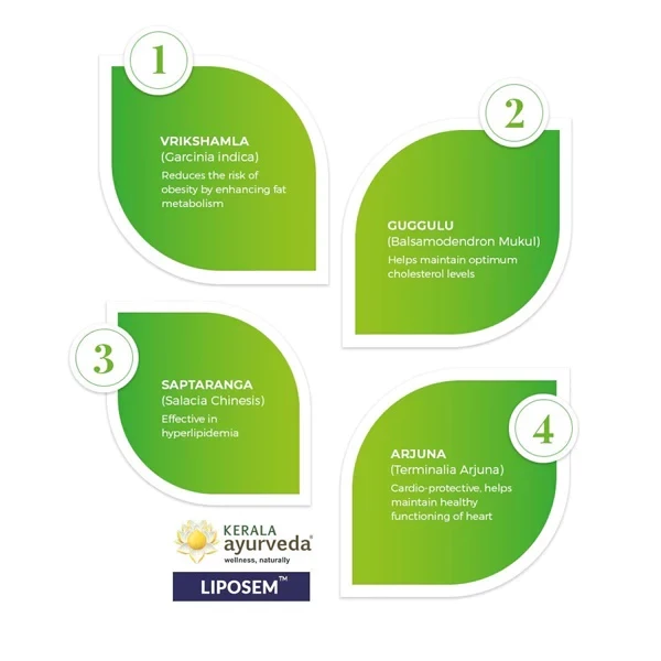 Kerala Ayurveda Liposem Tablet, 100 Tablets-4.webp